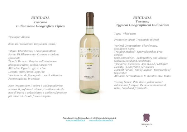 Rugiada Vino Bianco IGT Toscana Azienda Agricola Trequanda 72 bottiglie (Copia) - immagine 2